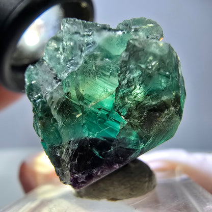 Spécimen de cube de fluorite fantôme, vert violet, Okorusu, Namibie, 36 x 25 x 15 mm 