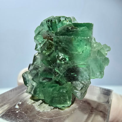 Spécimen de cube de fluorite fantôme, vert violet, Okorusu, Namibie, 25 x 24 x 15 mm 