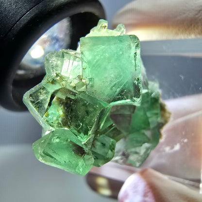 Spécimen de cube de fluorite fantôme, vert violet, Okorusu, Namibie, 25 x 24 x 15 mm 