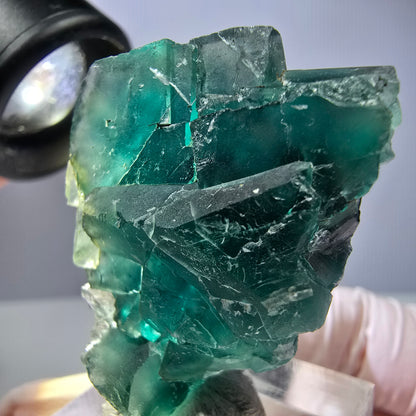 Phantom Fluorit Würfel Stufe, grün lila Okorusu, Namibia 37*30*16mm