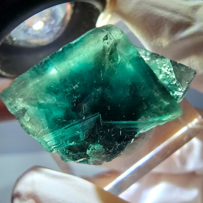 Seltene Phantom Fluorit Würfel Stufe, grün Okorusu, Namibia 23*19*15mm