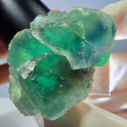 Seltene Phantom Fluorit Würfel Stufe, grün Okorusu, Namibia 41*37+21mm