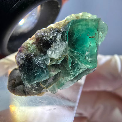 Seltene Phantom Fluorit Würfel Stufe, grün Okorusu, Namibia 25*14*12mm