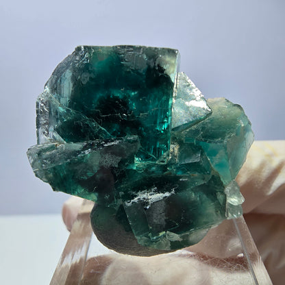 Rare spécimen de cube de fluorite fantôme, vert Okorusu, Namibie 32 x 29 x 17 mm 