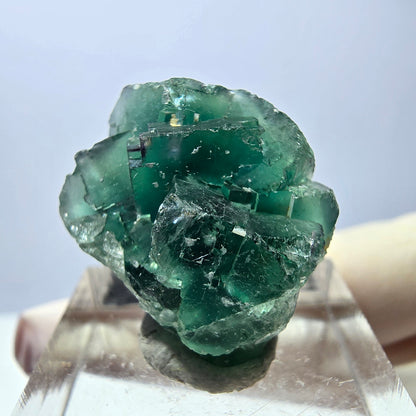 Seltene Phantom Fluorit Würfel Stufe, grün Okorusu, Namibia 22*21*13mm