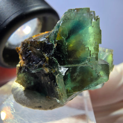 Seltene Phantom Fluorit Würfel Stufe, grün Okorusu, Namibia 27*23*20mm
