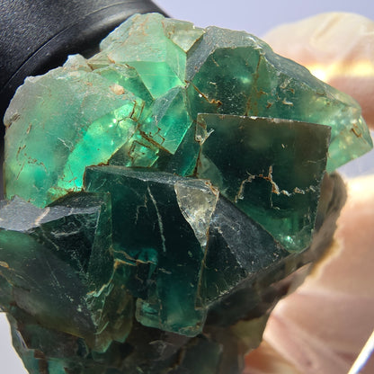 Seltene Phantom Fluorit Würfel Stufe, grün Okorusu, Namibia 41*34*20mm