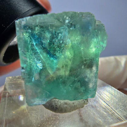 Cube de fluorite fantôme transparente parquetée, vert Okorusu, Namibie 20 x 18 x 15 mm 