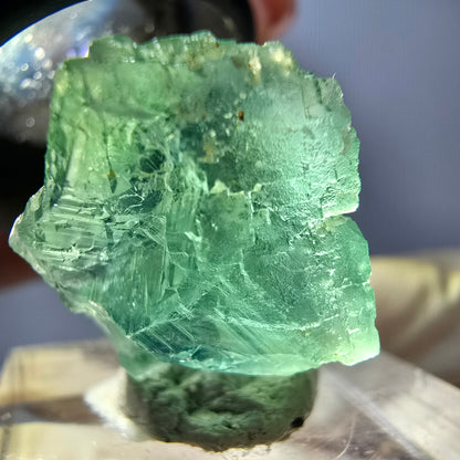 Cube de fluorite fantôme transparente parquetée, vert Okorusu, Namibie 19 x 18 x 15 mm 