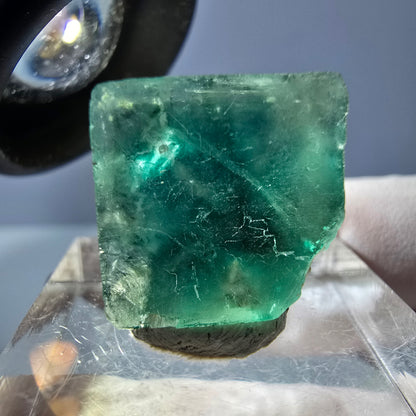Cube de fluorite fantôme transparente parquetée, vert Okorusu, Namibie 15 x 15 x 13 mm 