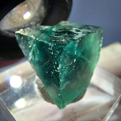Cube de fluorite fantôme transparente parquetée, vert Okorusu, Namibie 15 x 15 x 13 mm 