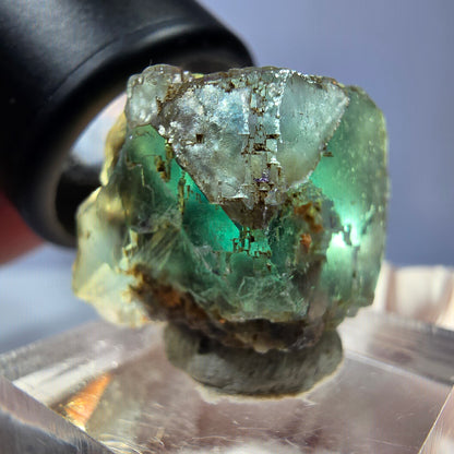 Cube de fluorite fantôme transparente parquetée, vert Okorusu, Namibie 21 x 19 x 19 mm 