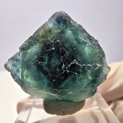 Cristal de fluorite fantôme transparent, cube vert-violet, Okorusu, Namibie, 24 x 24 x 20 mm 