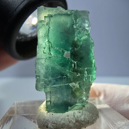 Cube de fluorite fantôme transparente parquetée, vert Okorusu, Namibie 26 x 19 x 16 mm 