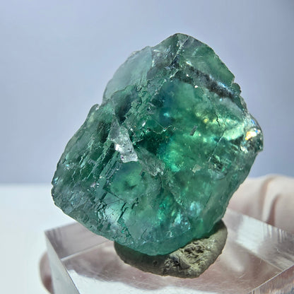 Cube de fluorite fantôme transparente parquetée, vert Okorusu, Namibie 23 x 22 x 15 mm 