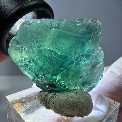 Cube de fluorite fantôme transparente parquetée, vert Okorusu, Namibie 27 x 24 x 23 mm 