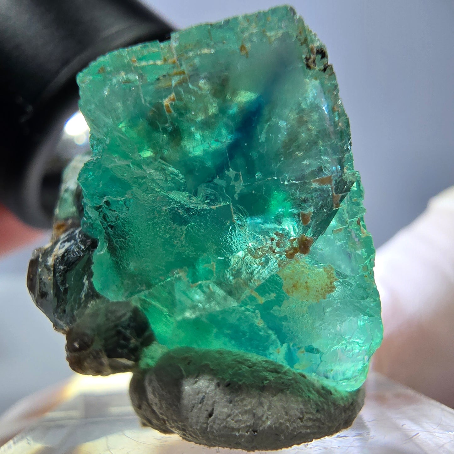 Cube de fluorite fantôme transparente parquetée, vert Okorusu, Namibie 23*23*22mm 