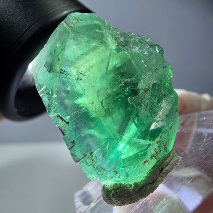 Cube de fluorite fantôme transparente parquetée, vert Okorusu, Namibie 23 x 23 x 17 mm 