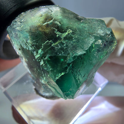 Cube de fluorite fantôme transparente parquetée, vert Okorusu, Namibie 23 x 21 x 19 mm 