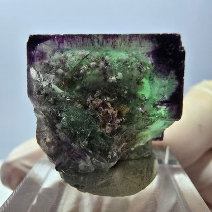 Phantom Fluorit Würfel parkettiert, zonal, grün lila Okorusu, Namibia 21*20*18mm