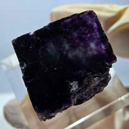 Phantom Fluorit Würfel parkettiert, grün lila Okorusu, Namibia 18*15*15mm