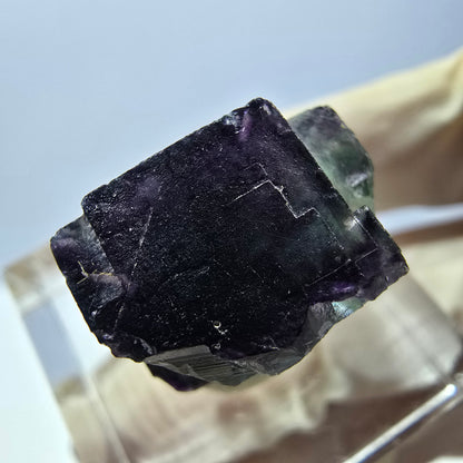 Phantom Fluorit Würfel parkettiert, grün lila Okorusu, Namibia 17*17*11mm