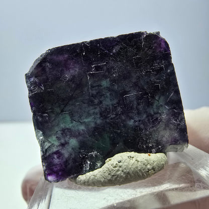 Phantom Fluorit Würfel parkettiert, grün lila Okorusu, Namibia 24*21*20mm