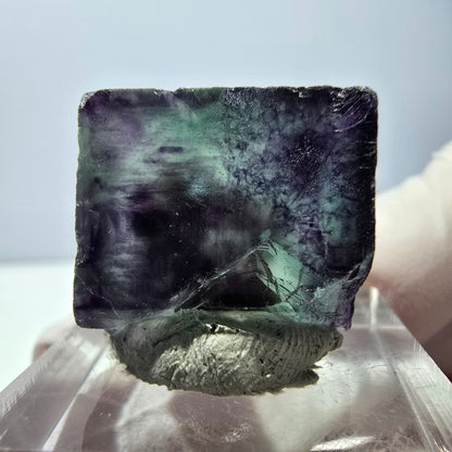 Phantom Fluorit Würfel parkettiert, grün lila Okorusu, Namibia 19*17*11mm