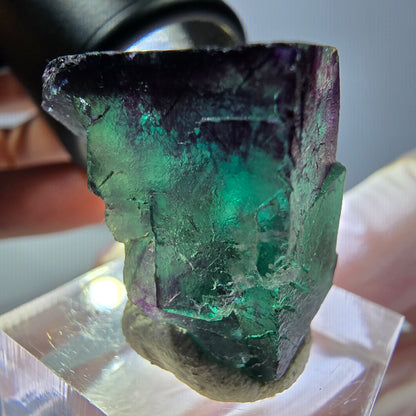 Phantom Fluorit Würfel parkettiert, grün lila Okorusu, Namibia 25*23*20mm