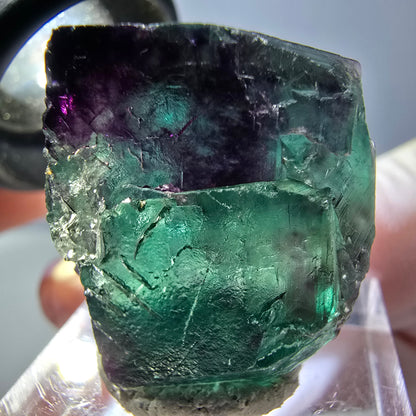 Phantom Fluorit Würfel parkettiert, grün lila Okorusu, Namibia 25*23*20mm