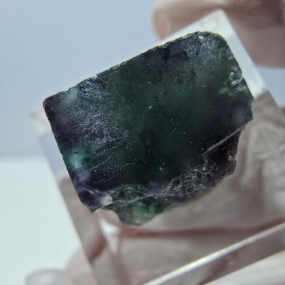 Phantom Fluorit Würfel parkettiert, grün lila Okorusu, Namibia 15*15*12mm