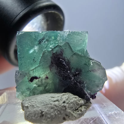 Phantom Fluorite cube parquetted, green purple Okorusu, Namibia 19*16*13mm 