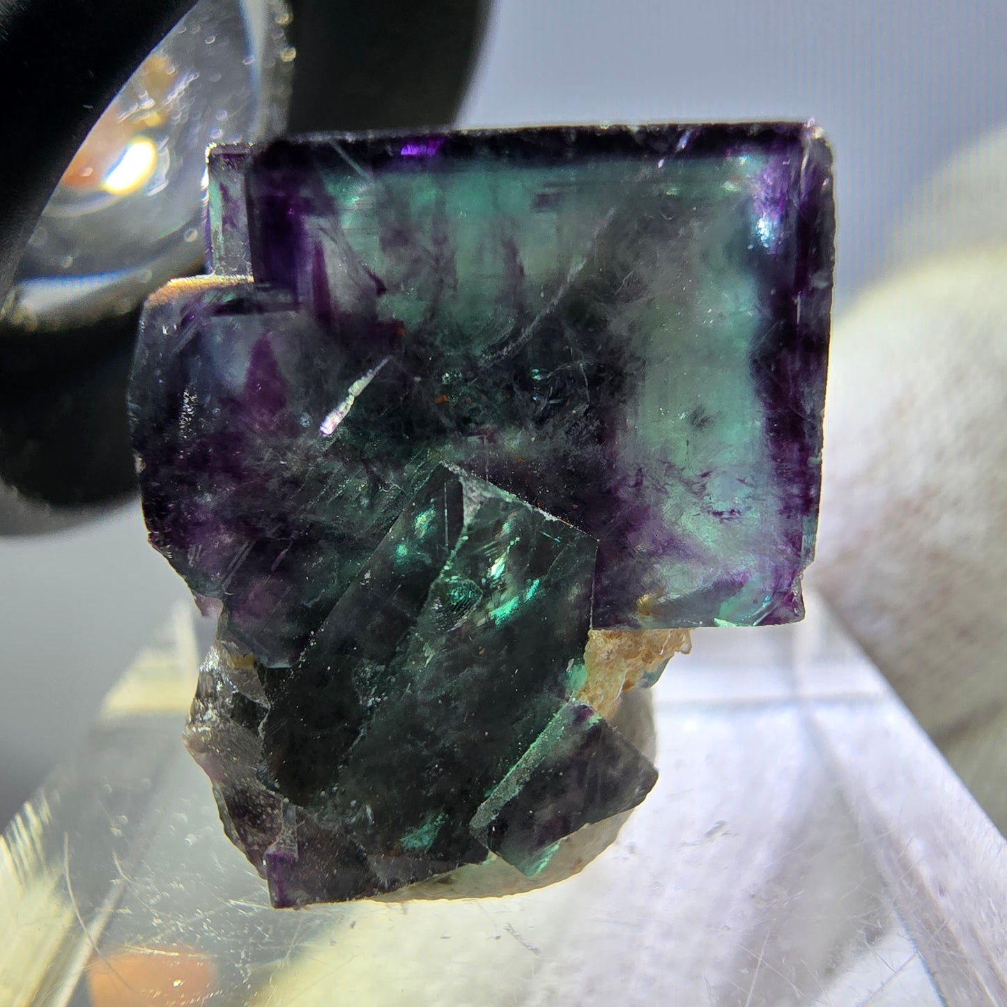 Spécimen rare de cube de fluorite fantôme, vert zonal et violet, Okorusu, Namibie, 24 x 16 x 17 mm 