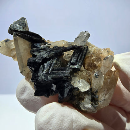Rare spécimen de tourmaline Schorl et de quartz fumé, Erongo, Namibie, 44 x 24 x 17 mm 