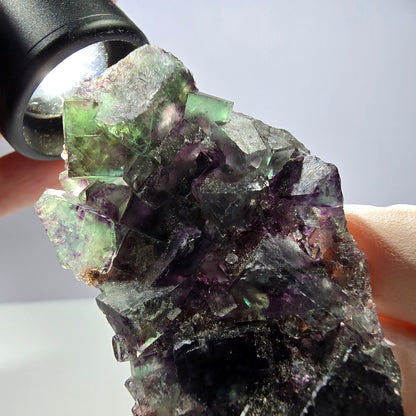 Rare spécimen de cube de fluorite fantôme, vert-violet, Okorusu, Namibie, 64 x 35 x 14 mm 