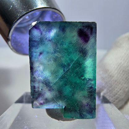 Rare cube de fluorite fantôme zonal, vert violet Okorusu, Namibie 23*21*12mm 