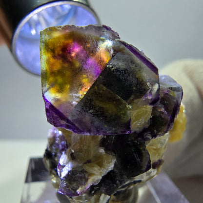Spécimen de fluorite fantôme colorée, tourmaline scholle, muscovite, Erongo, Namibie, 27 x 24 x 18 mm 
