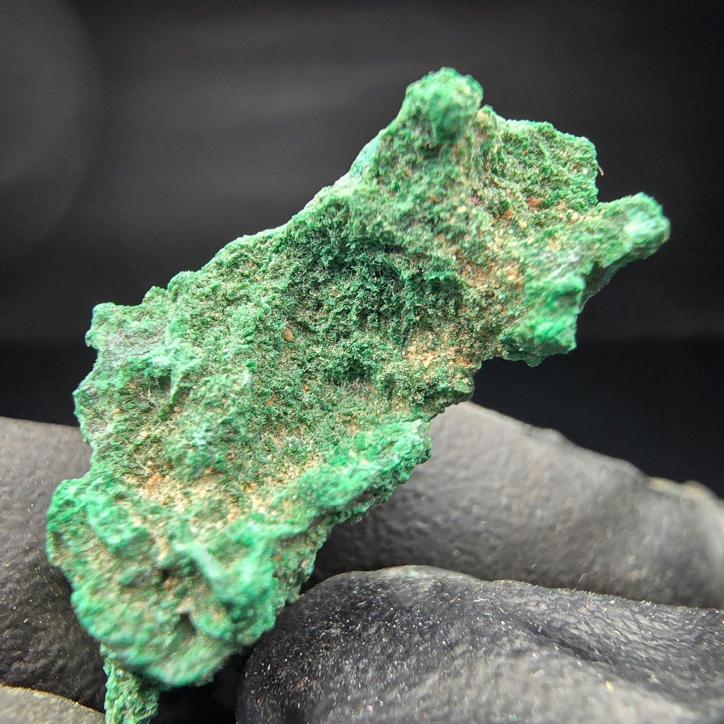Spécimen rare de malachite, vert Kaokoveld, collection minérale 30*14*17mm namibie