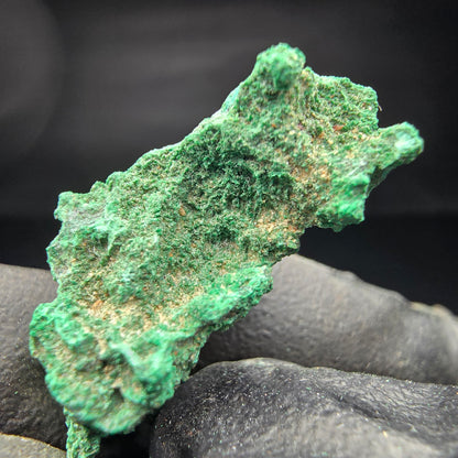 Spécimen rare de malachite, vert Kaokoveld, collection minérale 30*14*17mm namibie