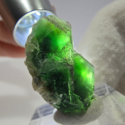 Cube de fluorite fantôme zonal, tourmaline muscovite Schorl Erongo Namibie 26 x 23 x 15 mm 