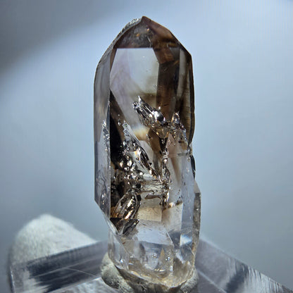 Pointe de sceptre en quartz fumé fantôme transparent, Goboboseb, Namibie, 32 x 15 x 11 mm 
