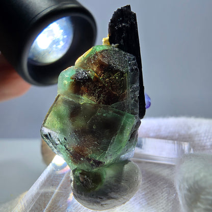 Cube de fluorite fantôme, spécimen de tourmaline scholle muscovite, Erongo, Namibie, 32 x 24 x 18 mm 