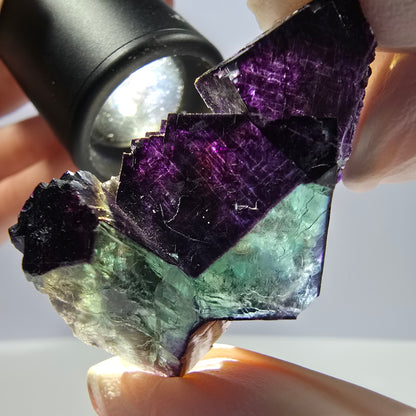 Spécimen de cube de fluorite fantôme vert violet zonal 11:11 Angel Pocket, Namibie 45*32*17mm 