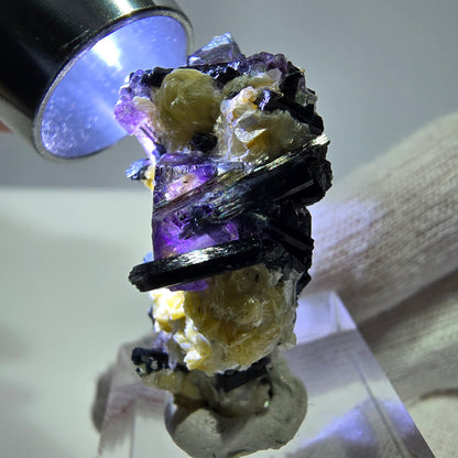 Cubes de fluorite fantôme colorés, tourmaline scholle muscovite hyalite, Erongo, Namibie, 36 x 24 x 15 mm 