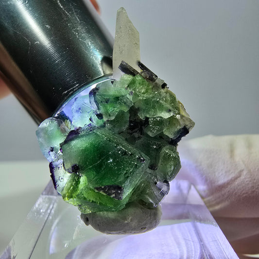 Cube de fluorite fantôme, quartz fumé, tourmaline schol, muscovite, Erongo, Namibie, 31 x 22 x 16 mm