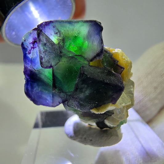 Fluorite fantôme zonale, muscovite, tourmaline Schörl, quartz fumé Erongo, Namibie 27*20*17 mm