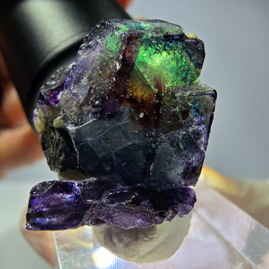 Cubes de fluorite fantôme colorés hexagonaux, tourmaline Schorl Erongo, Namibie 27 x 25 x 20 mm