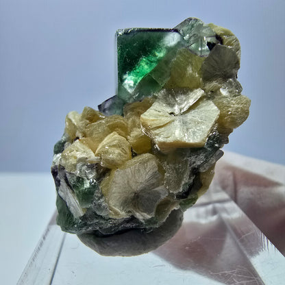 Cube de fluorite fantôme, zonal, muscovite, spécimen de tourmaline Schorl, Erongo, Namibie, 35 x 21 x 20 mm 