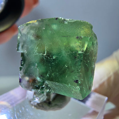 Phantom Fluorit Würfel Stufe, grün parkettiert Okorusu, Namibia 27*21*15mm