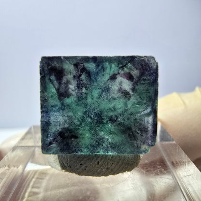 Klarer Phantom Fluorit Würfel, grün lila Okorusu, Namibia 15*13*10mm